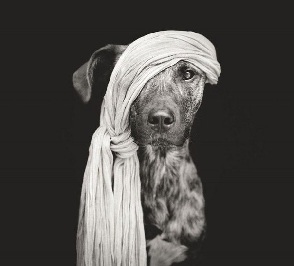      Elke Vogelsang - 7