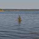 ���� ������-����������.))))))), ������ - ��������� 21 ���� 2014 � ������ �������