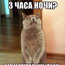 ���� ������, ���������, 48 ��� - ��������� 5 ������� 2014 � ������ ������ ��������