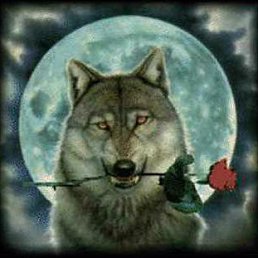 �������..., ������, 35 ���