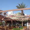  , , 66  -  7  2014   һ