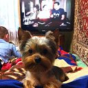 ���� ��������, �����-���������, 53 ���� - ��������� 29 ��� 2014 � ������ ���� ����������