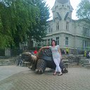  Dana, , 57  -  6  2014   JURMALA 2014