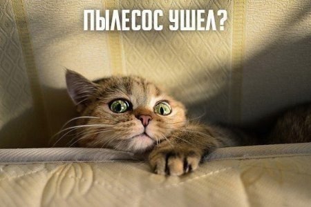   - 7  2014  16:55