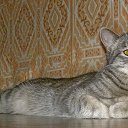  Andrey, -, 51  -  20  2014   