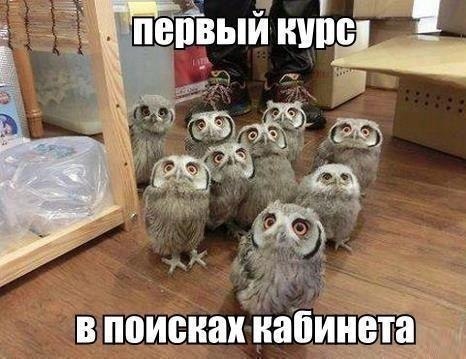    :D - 19  2014  00:21