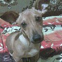 ���� ���������, ��������, 50 ��� - ��������� 2 ��� 2014 � ������ �����