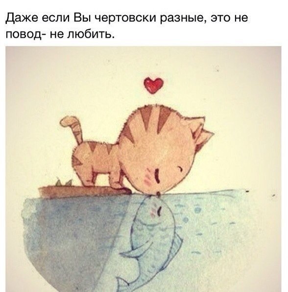 ) - 22  2014  00:03