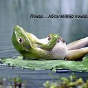 ���� �������, �������������, 46 ��� - ��������� 5 ������ 2014 � ������ ������ ��������
