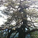  , --, 52  -  18  2014     2014