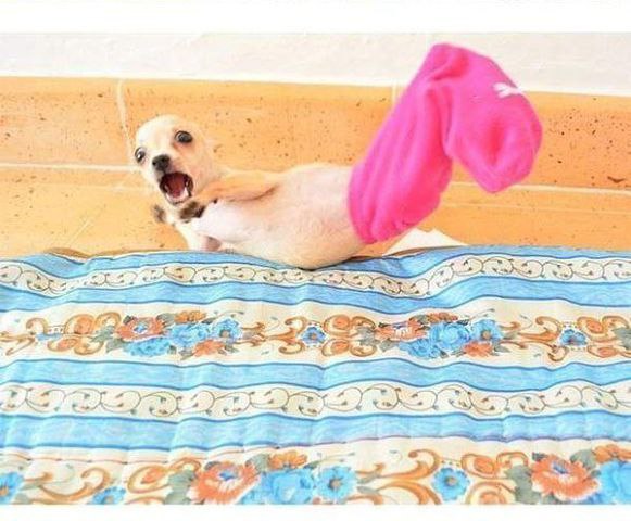��������� � ������ ��������. - 3