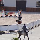  , -, 71  -  12  2014     - 