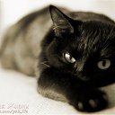 ���� � �, ����, 62 ���� - ��������� 2 ��� 2014 � ������ ������ ��������