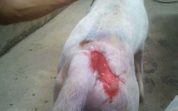 Добрые люди - 8