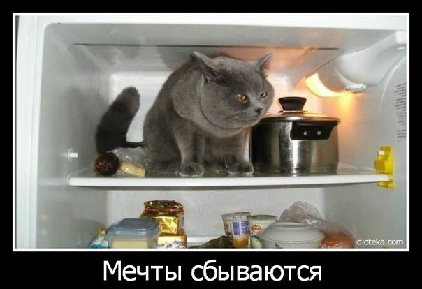     <a href=