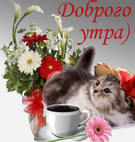ДОБРОЕ УТРО ВСЕМ ДРУЗЬЯМ!!!! Яркие капельки солнца Горят на ромашках огнём, Пусть мир станет ярче, ...