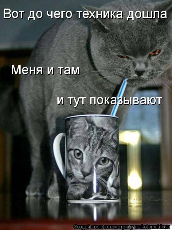   :3 - 8  2014  16:44