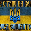 ���� ���������, ���������, 49 ��� - ��������� 14 ������ 2014 � ������ ������ ��������