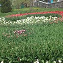 ���� ���������, ����, 53 ���� - ��������� 20 ������ 2014 � ������ ��������� ��������� ����-2014�