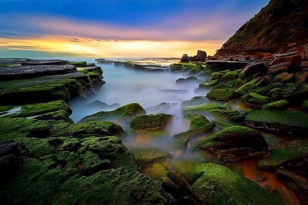    .   (Turimetta Beach) -     ... - 2