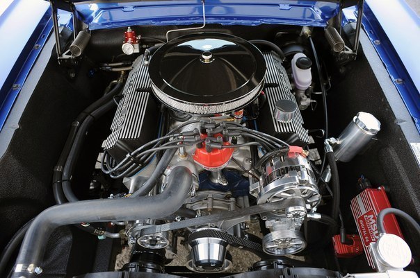 Shelby GT350CR - 7
