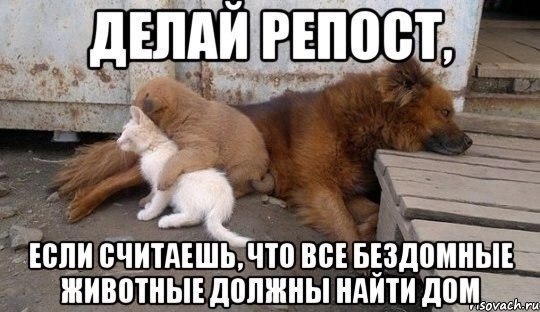  - 12  2014  21:52