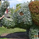 ���� ��������, ������, 41 ��� - ��������� 15 ���� 2014 � ������ ���� ����������