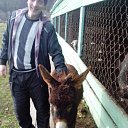 ���� ���������, ������, 44 ���� - ��������� 12 ���� 2014 � ������ ���� ����������