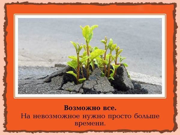  - 12  2014  08:34