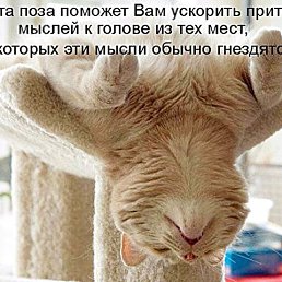 ���� Bella, ��������� - ��������� 14 ������ 2014