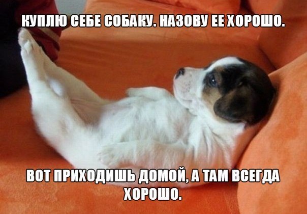   - 20  2014  02:00