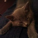 ���� Dzknauf, ������, 37 ��� - ��������� 10 ������� 2014 � ������ ��������