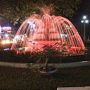  , , 41  -  29  2014   ~    @ ~