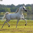 ���� ������ �����, ����������, 52 ���� - ��������� 2 ������� 2014 � ������ ������ ��������