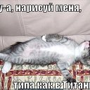 ���� �����, �������, 52 ���� - ��������� 2 ���� 2014 � ������ ������ ��������