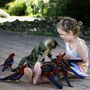  , , 71  -  3  2014     ... .