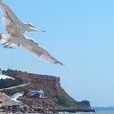  ,  -  21  2014    ))))))))))