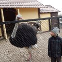 ���� ����, �����-���������, 57 ��� - ��������� 1 ��� 2014 � ������ �� �����