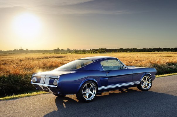 Shelby GT350CR - 4