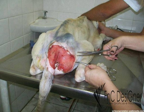 Добрые люди - 6