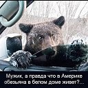 ���� ������, ������� - ��������� 24 ���� 2014 � ������ ������ ��������