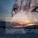 ���� �������, ���, 62 ���� - ��������� 2 ������� 2014 � ������ �������