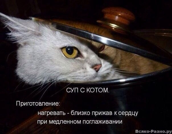   - 29  2014  11:11