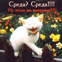 ���� ����, ��������� - ��������� 9 ���� 2014 � ������ ������ ��������