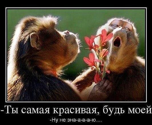 -  , , ? - , ...   .