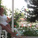 ���� ������, �������, 80 ��� - ��������� 16 ���� 2014 � ������ ���� ����������