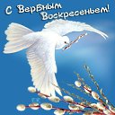���� �����, �������, 50 ��� - ��������� 13 ������ 2014 � ������ ���� ����������