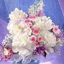 ���� Evgenia, ��������� - ��������� 22 ����� 2014 � ������ ���� ����������