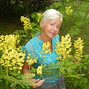 ���� ������, ���� - ��������� 11 ��� 2014 � ������ ���� ����������