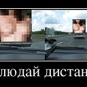 ���� Dinar, �����, 29 ��� - ��������� 20 ���� 2014 � ������ ������ ��������